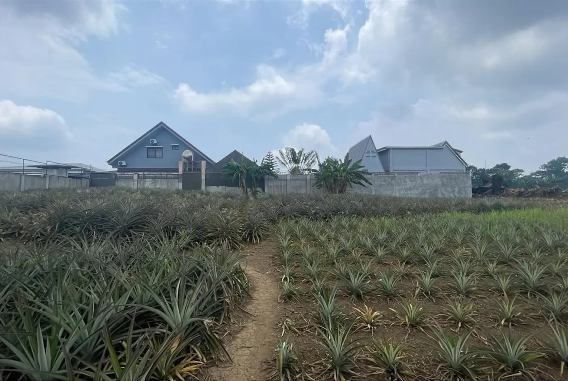 Lot for Sale in Tagaytay City