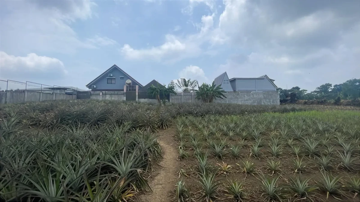 tagaytay-residential-lot-2 Lot for Sale in Tagaytay City