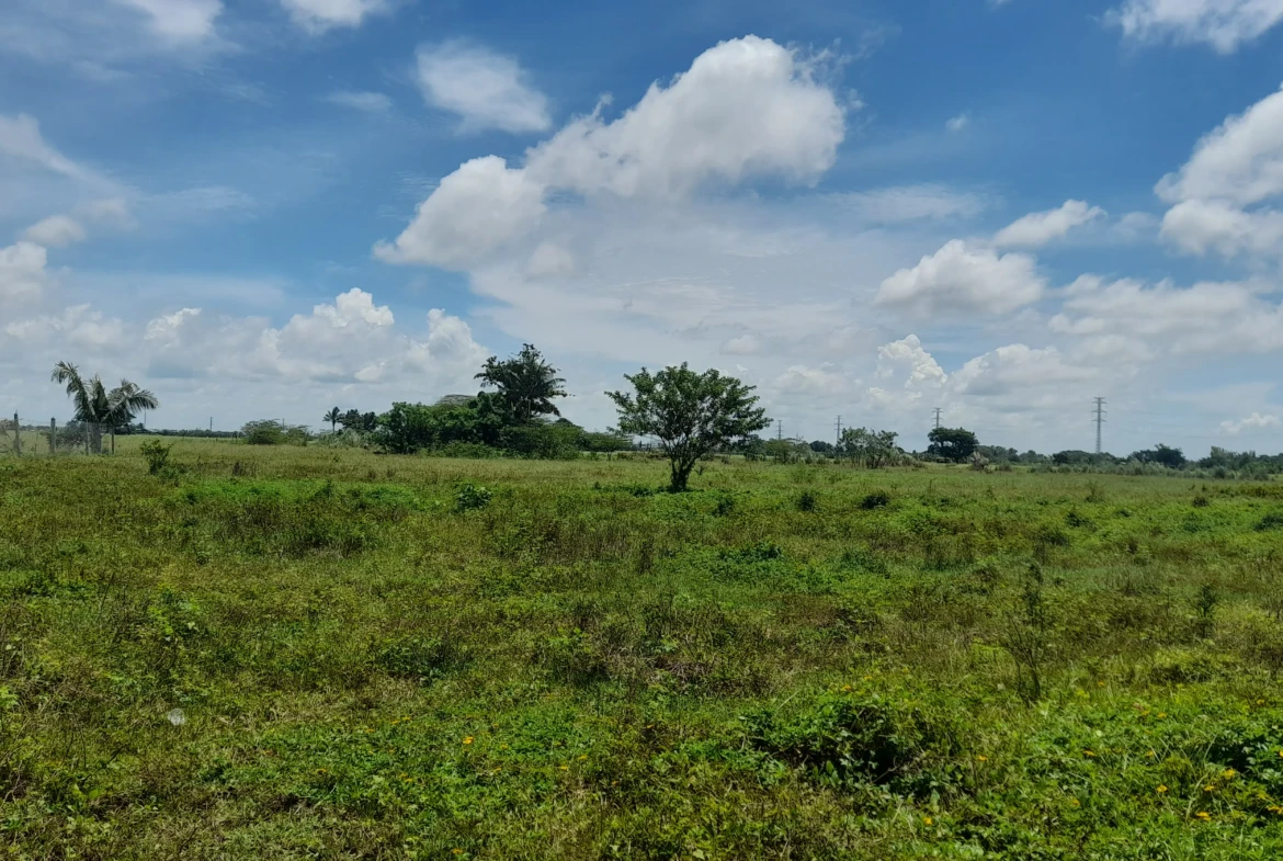 URGENT LIQUIDITY SALE: 2.54-Hectare Clean Title, R-3 Mixed Use Property in Bgy. Tacas, Jaro, Iloilo City