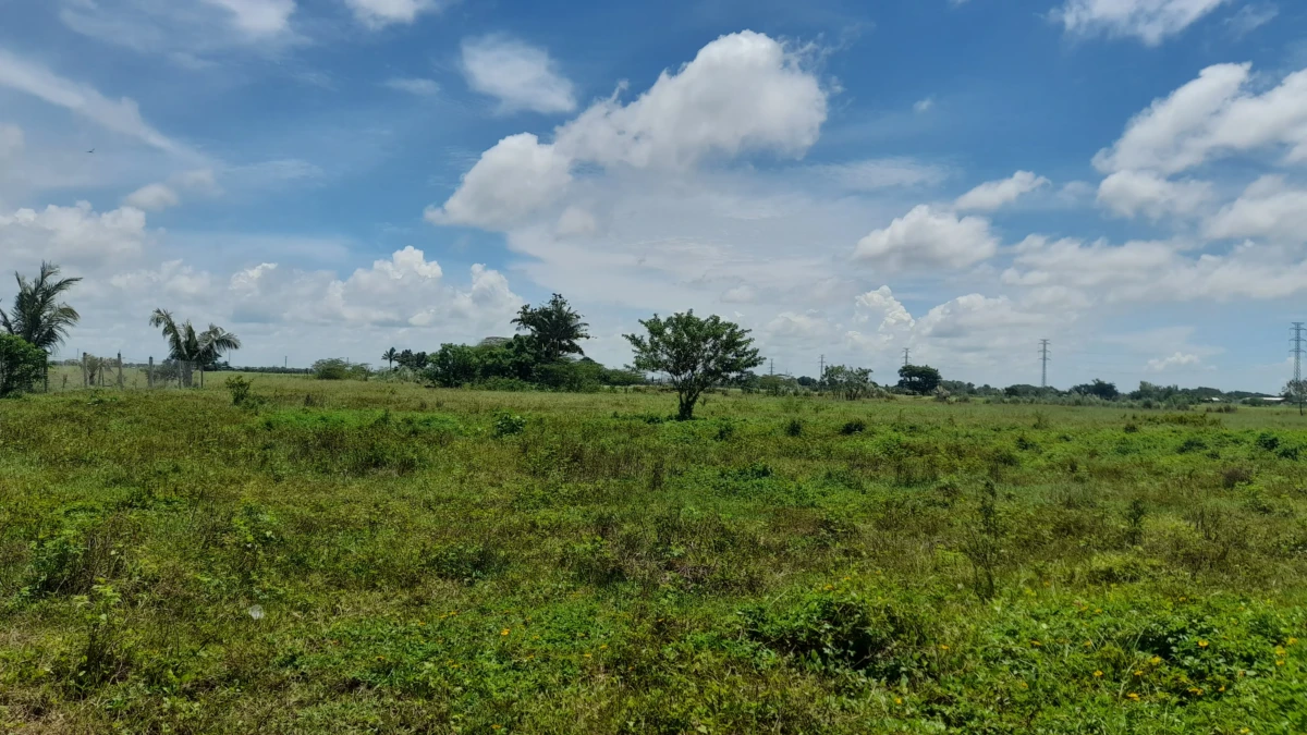 URGENT LIQUIDITY SALE: 2.54-Hectare Clean Title, R-3 Mixed Use Property in Bgy. Tacas, Jaro, Iloilo City