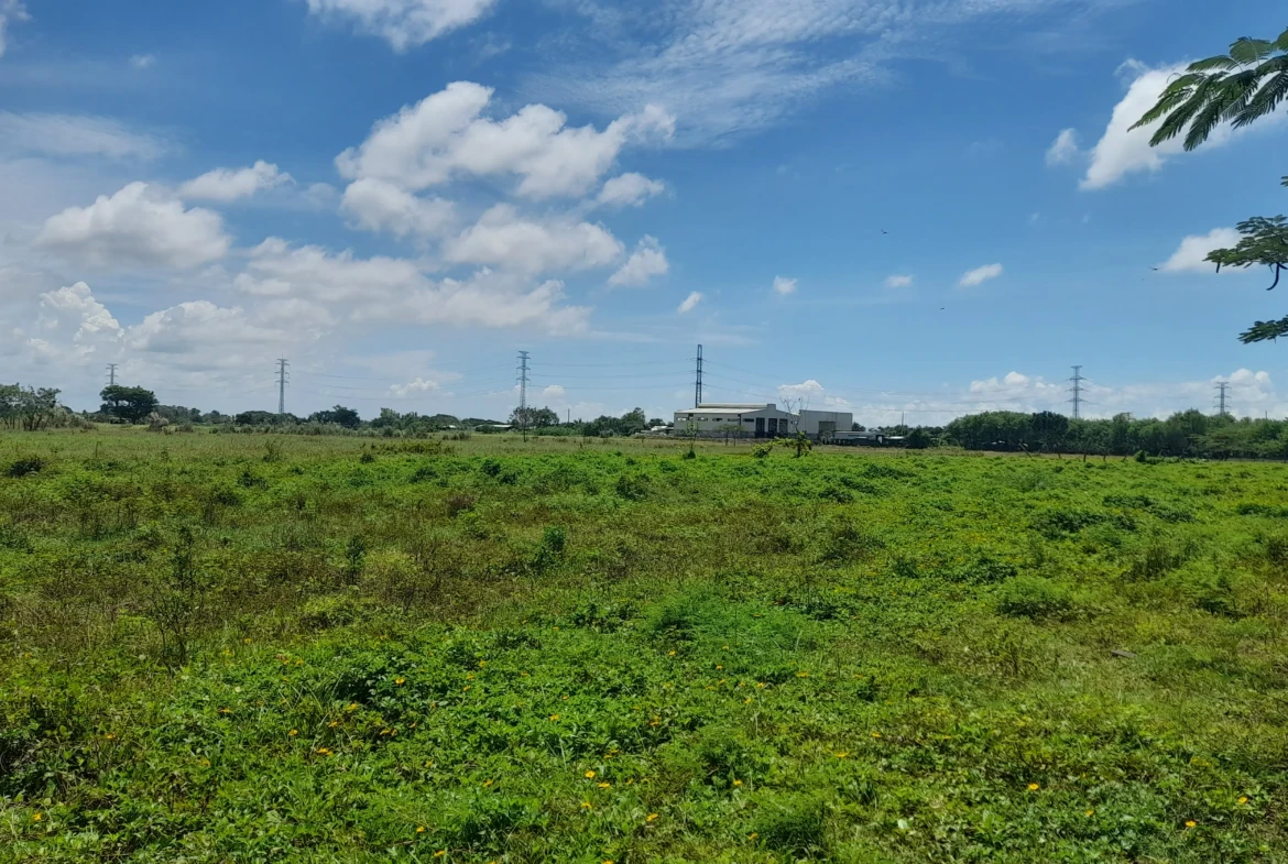 URGENT LIQUIDITY SALE: 2.54-Hectare Clean Title, R-3 Mixed Use Property in Bgy. Tacas, Jaro, Iloilo City