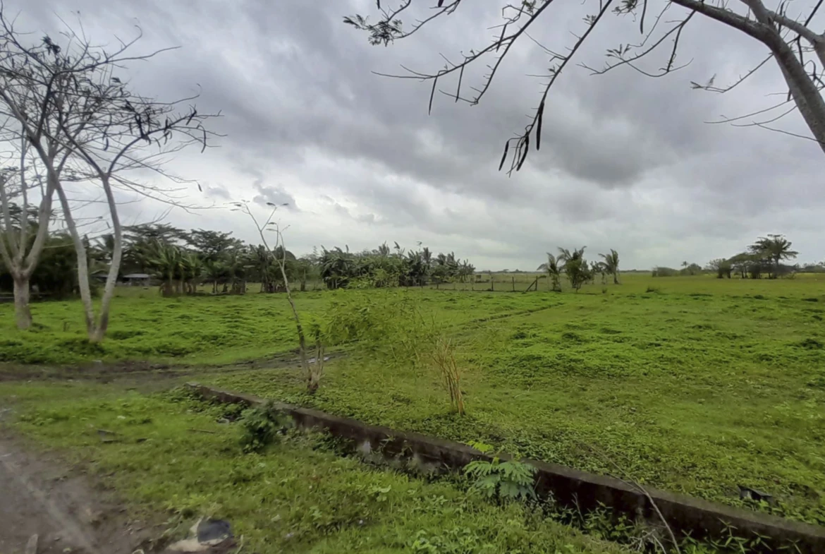 URGENT LIQUIDITY SALE: 2.54-Hectare Clean Title, R-3 Mixed Use Property in Bgy. Tacas, Jaro, Iloilo City