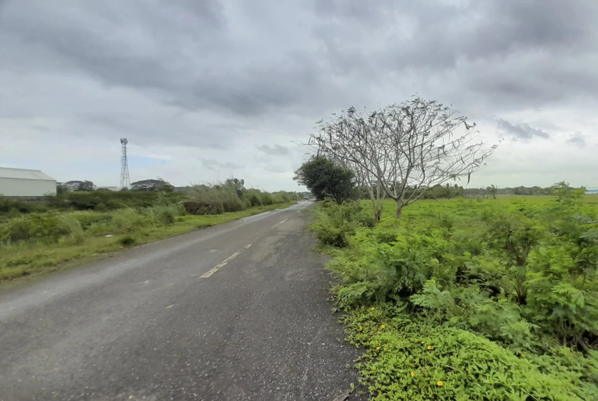 URGENT LIQUIDITY SALE: 2.54-Hectare Clean Title, R-3 Mixed Use Property in Bgy. Tacas, Jaro, Iloilo City
