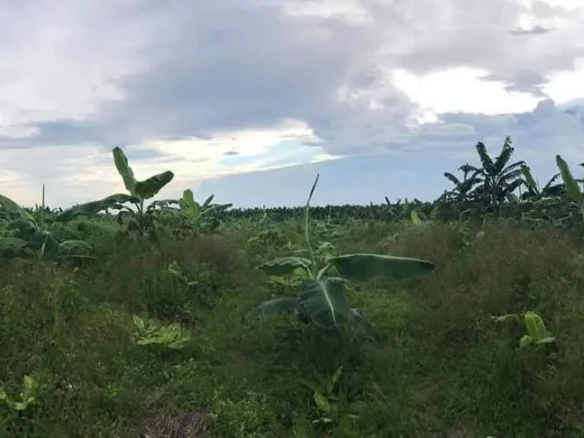 RESIDENTIAL FARM/COMMERCIAL LOT