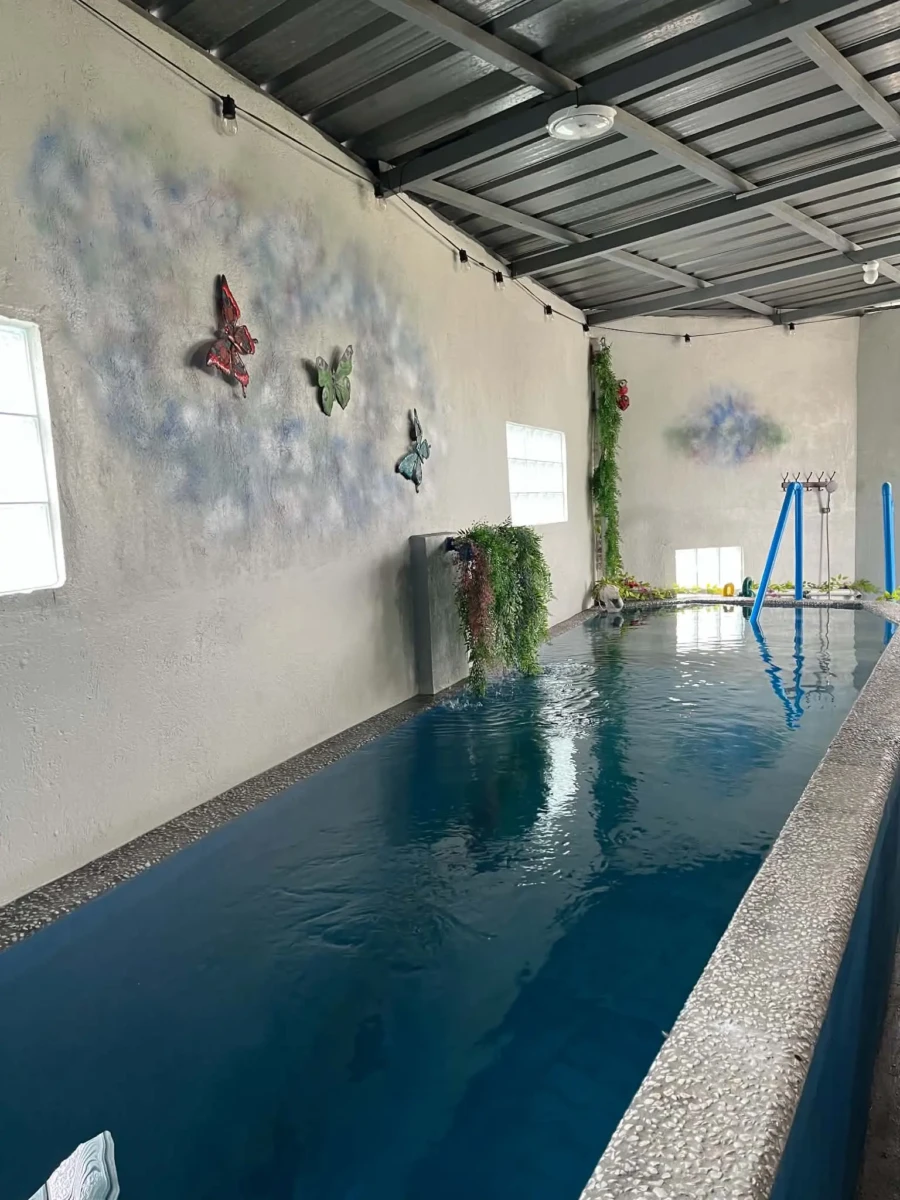 3-Bedroom POOL HOUSE & Lot for Sale in San Fernando Pampanga, 107 sq m lot with 150 sq m home, CLEAN TITLE (MOTIVATED SELLER!)