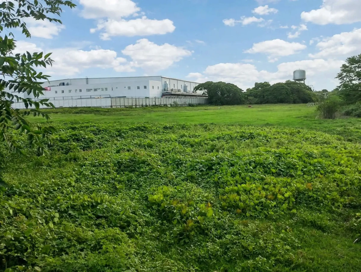 received_1571015607279216 For Sale lot Near SM Gen Trias ✅️3000 sqm lot