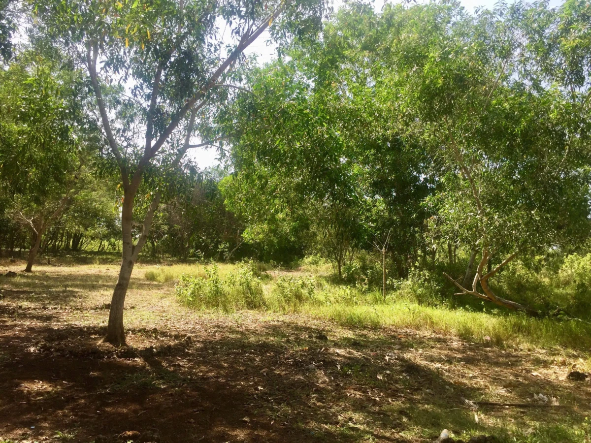 1000000171 2200sqm lot for sale on Panglao Island!