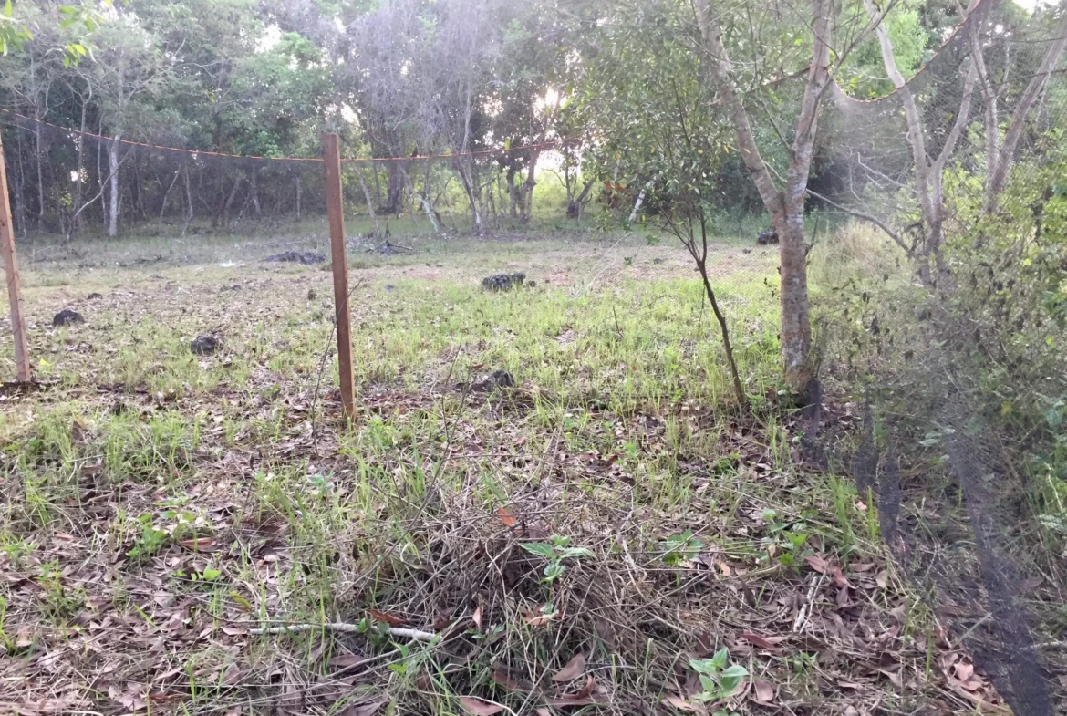 2200sqm lot for sale on Panglao Island!