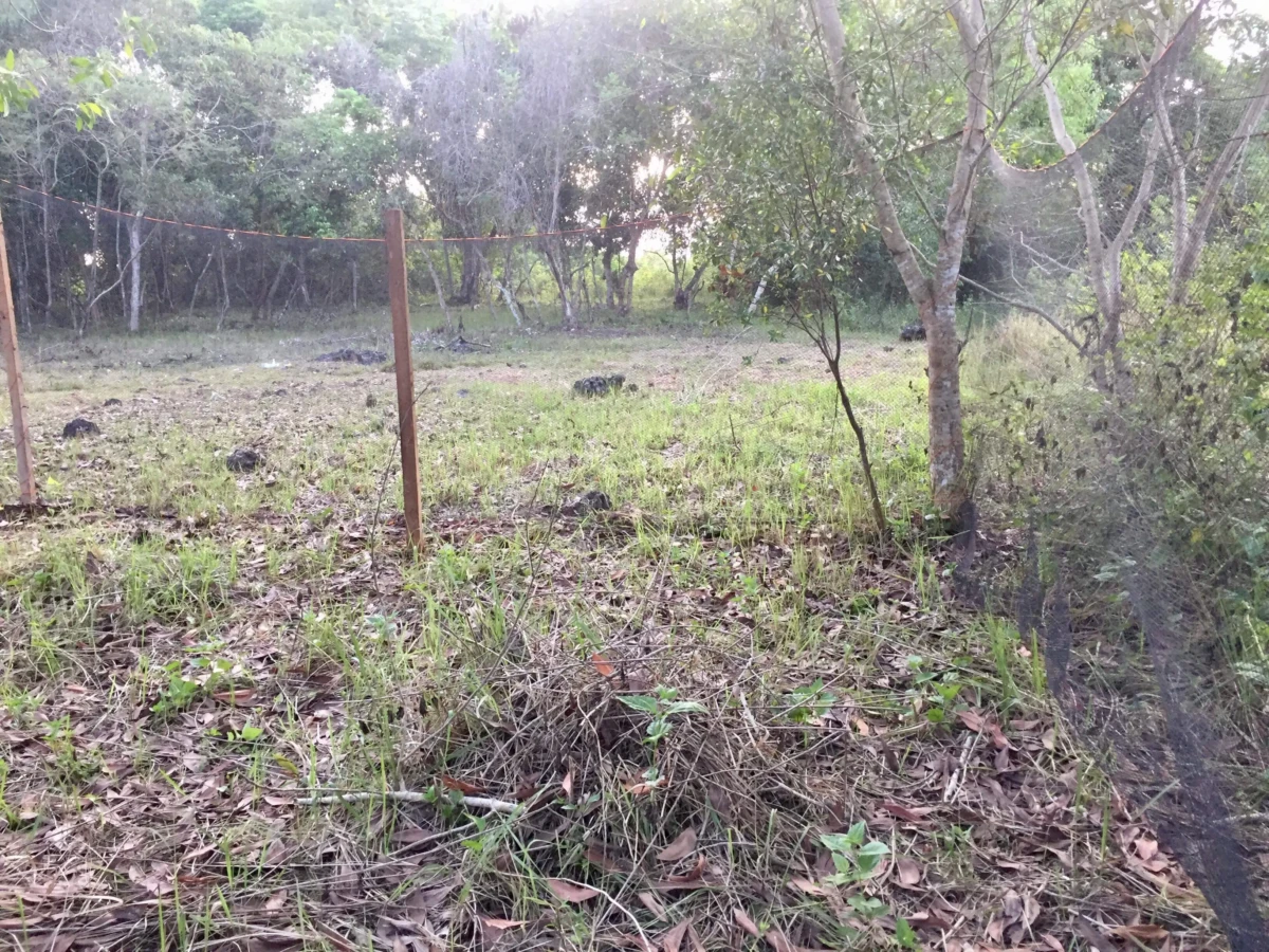 1000000189 2200sqm lot for sale on Panglao Island!