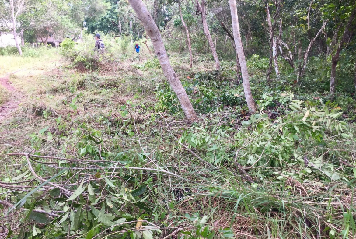 2200sqm lot for sale on Panglao Island!