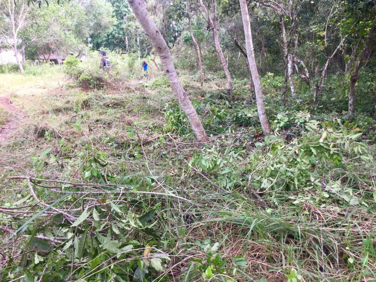 1000000260 2200sqm lot for sale on Panglao Island!
