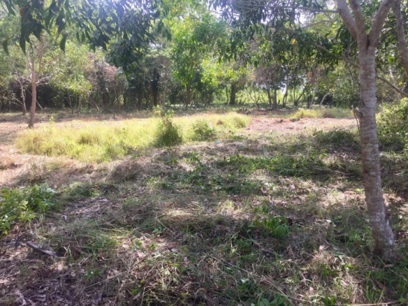 2200sqm lot for sale on Panglao Island!