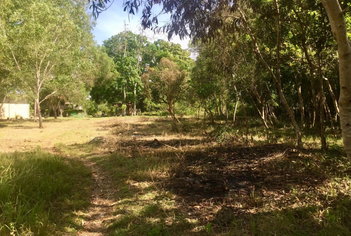 2200sqm lot for sale on Panglao Island!