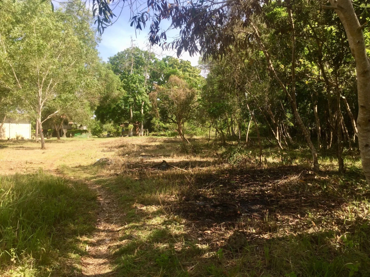 1000000267 2200sqm lot for sale on Panglao Island!