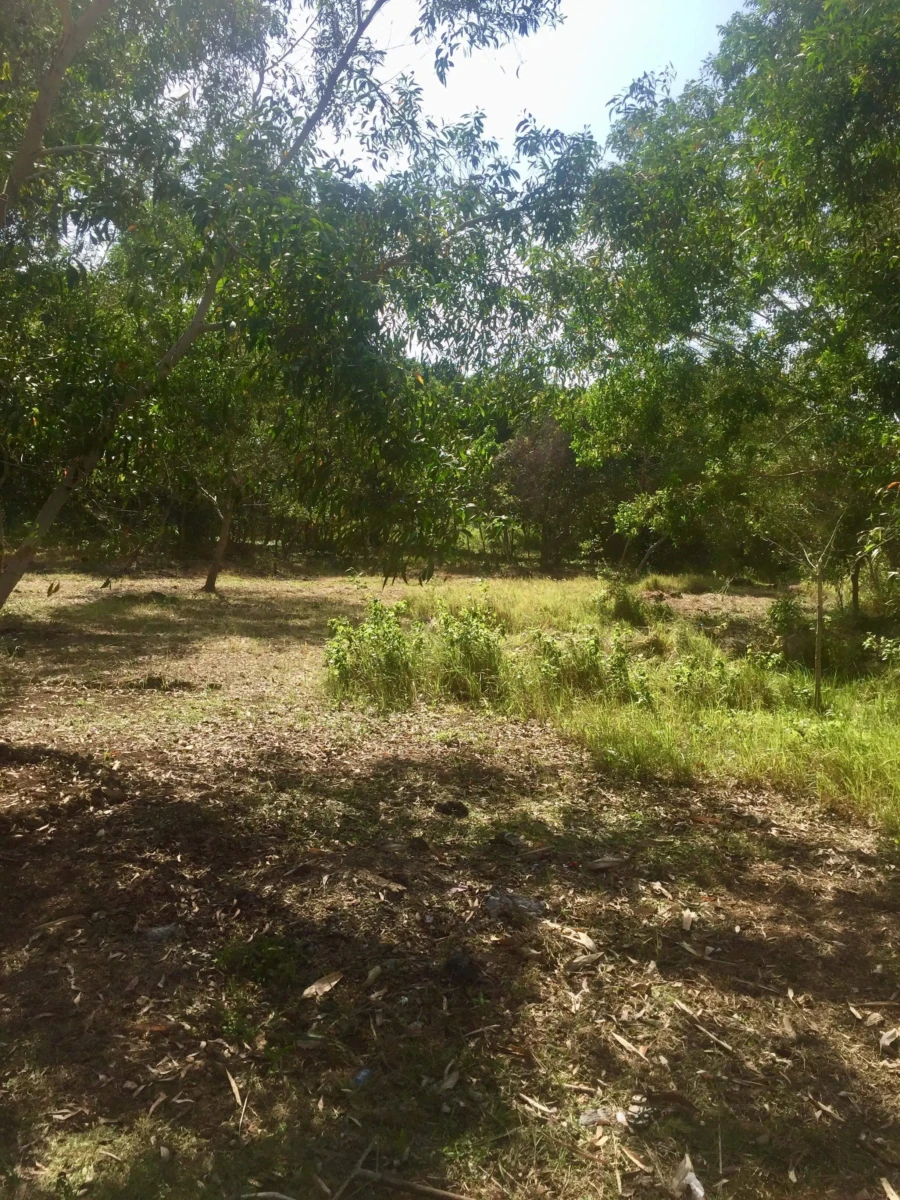 1000000269 2200sqm lot for sale on Panglao Island!
