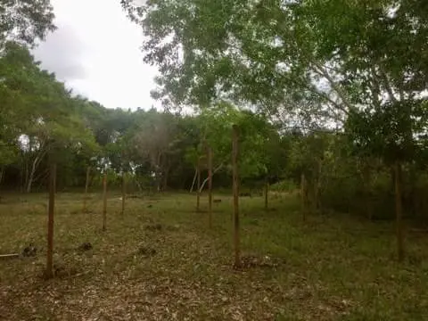2200sqm lot for sale on Panglao Island!