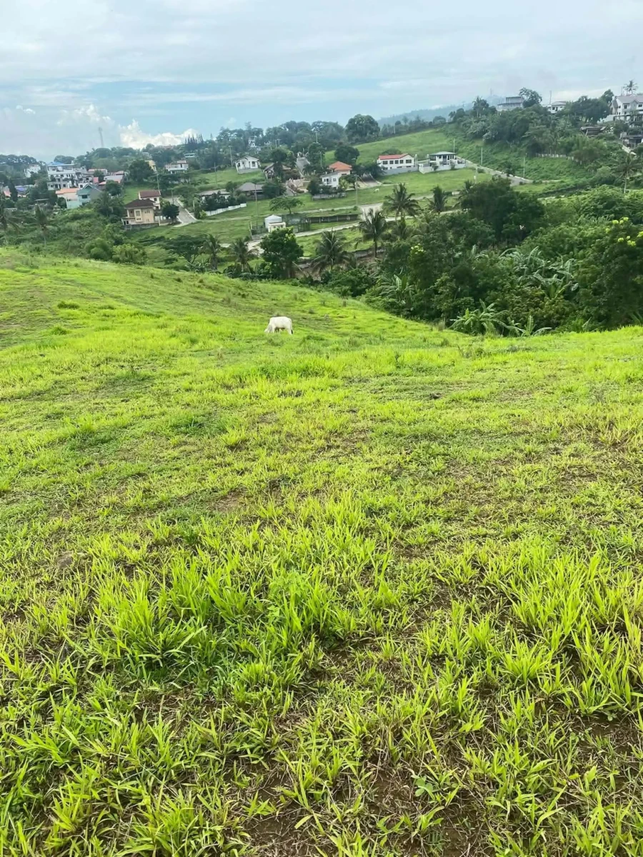1,000 SQUARE METER TAGAYTAY CITY NEAR PICNIC GROVE