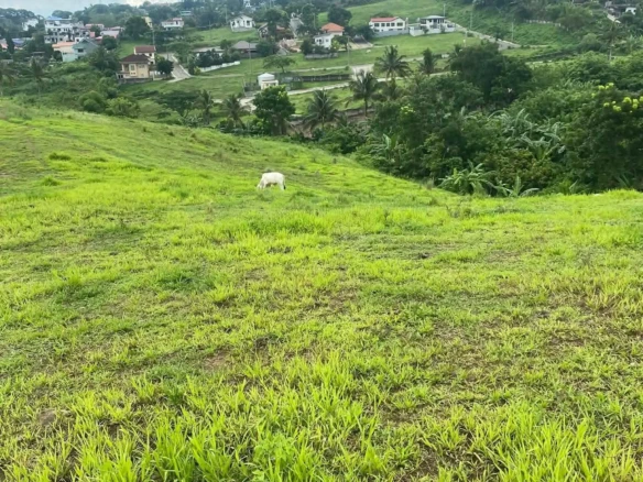 1,000 SQUARE METER TAGAYTAY CITY NEAR PICNIC GROVE