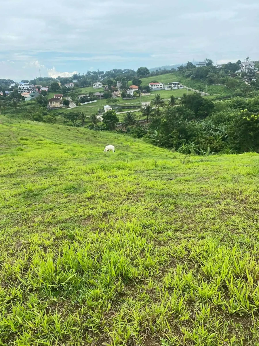 1,000 SQUARE METER TAGAYTAY CITY NEAR PICNIC GROVE