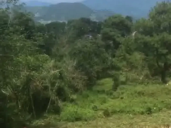 Residential lot for sale in Shilan, La Trinidad, Benguet mountain-view property