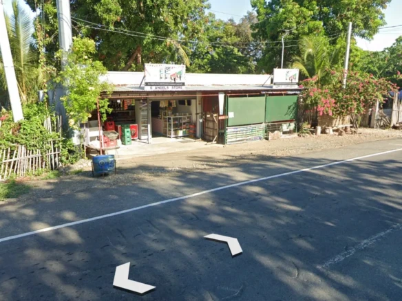 Commercial Land Property