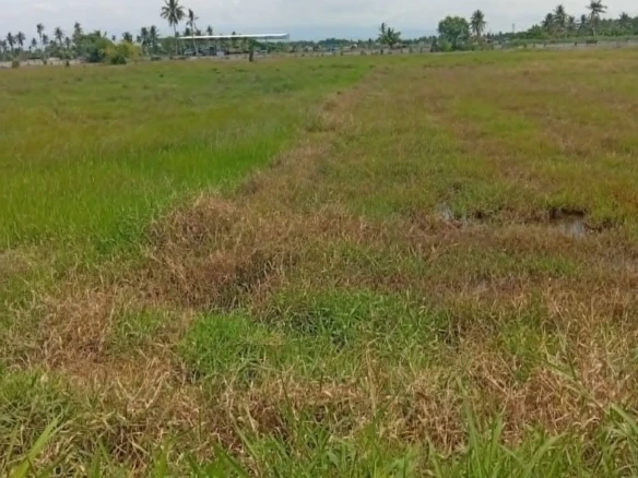 LAND FOR SALE IN GENERAL SANTOS CITY