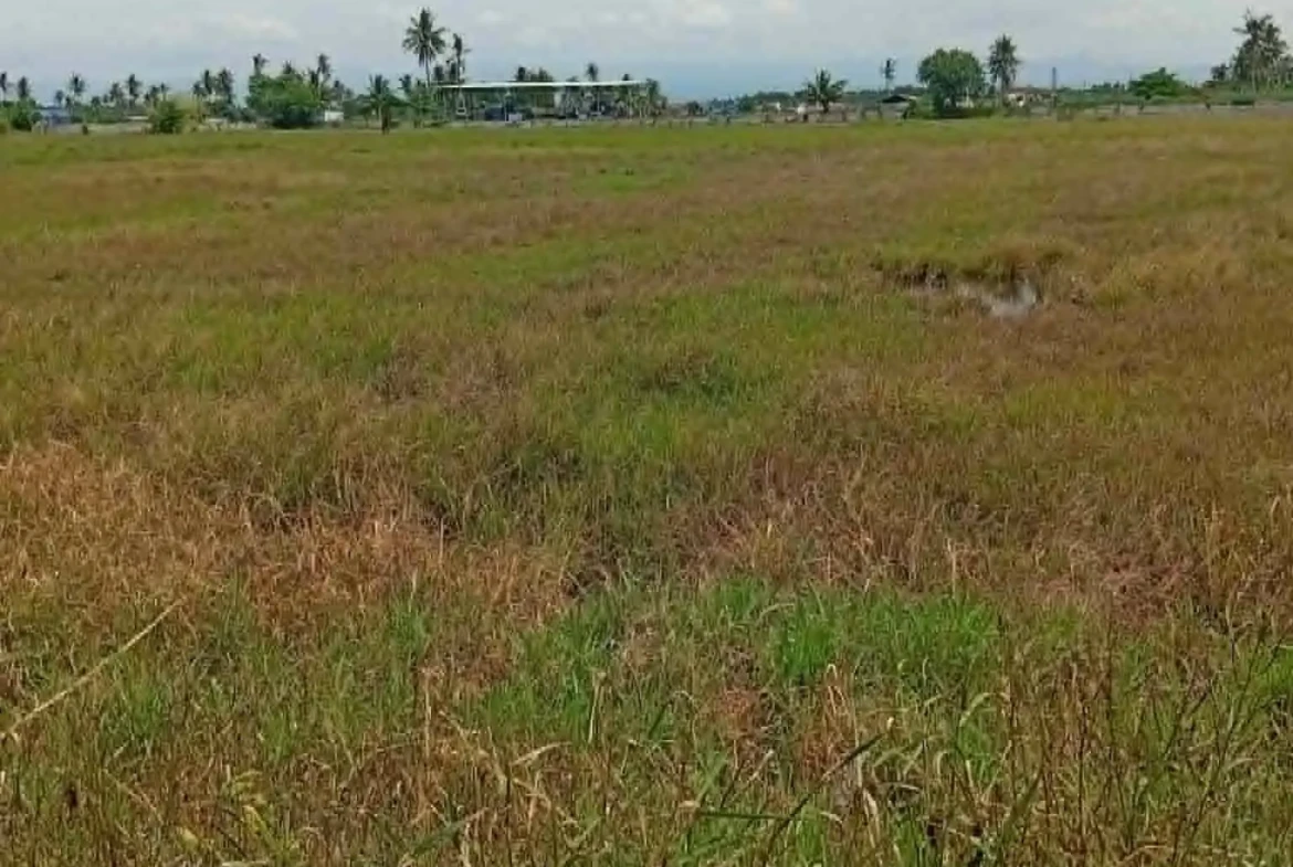 LAND FOR SALE IN GENERAL SANTOS CITY