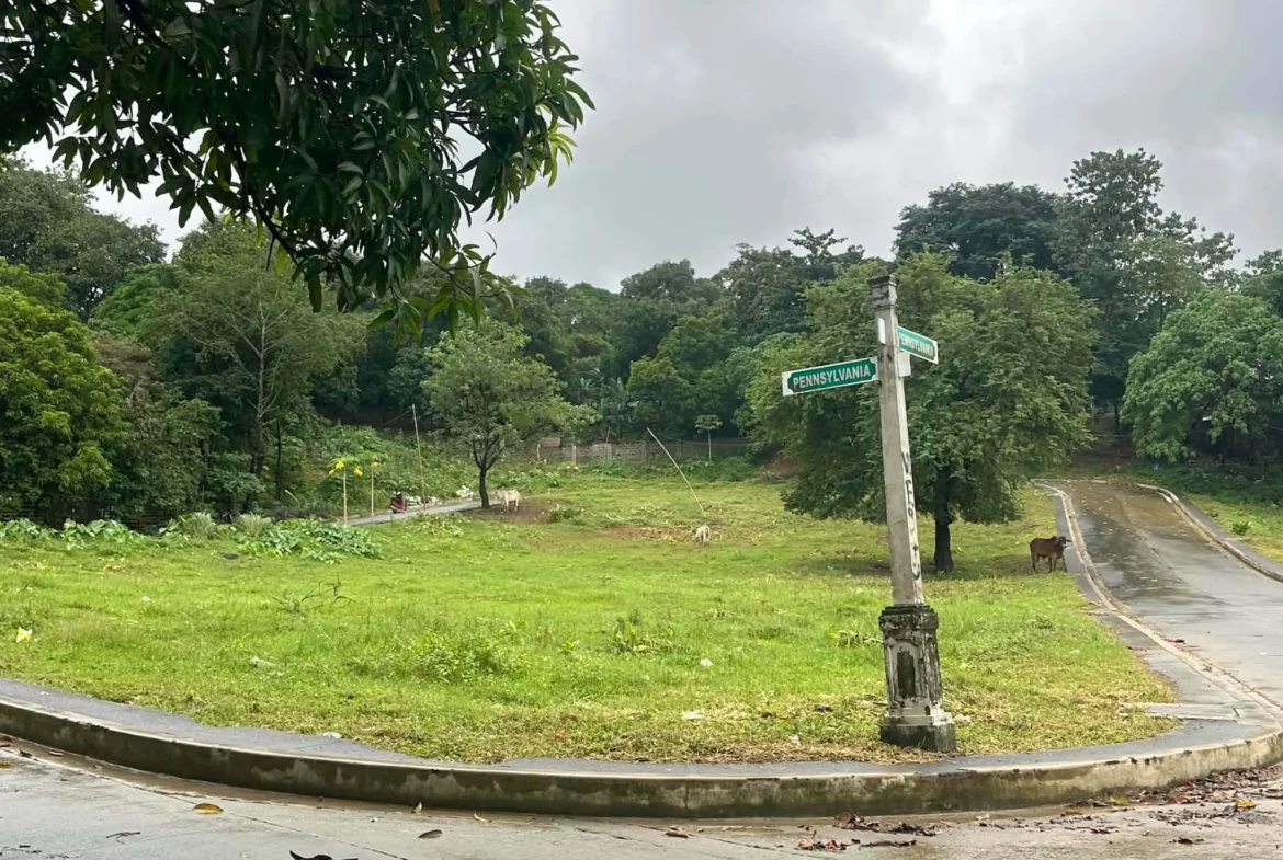 2 Land for Sale
